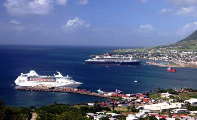 圣基茨移民背景调查环节被拒签的比例有多少？一般被拒签的原因是什么？