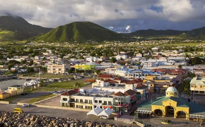 中国都有哪些人群在办理圣基茨移民？