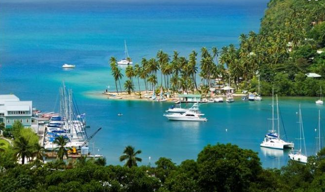 持有圣基茨护照后，护照过期怎么办？