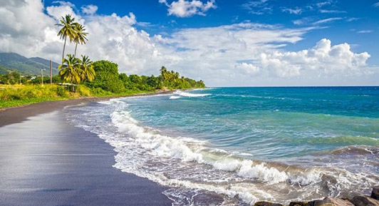 圣基茨护照可以申请美国留学签证去读书吗？