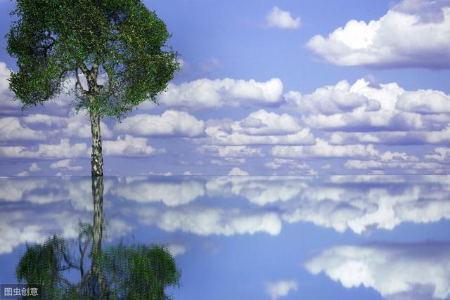 绿卡、永居、护照、入籍，差别原来这么大