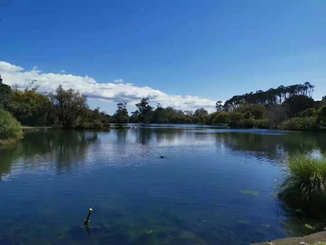 新西兰移民最全途径