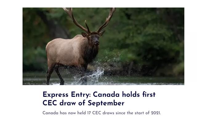 最新！CEC邀请分数飙高！又快又稳的曼省留学移民了解一下