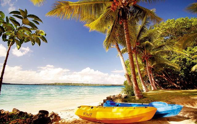 关于移民的真相，终于水落石出