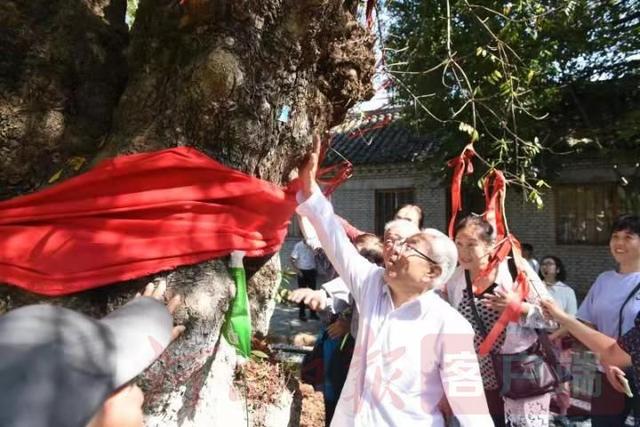 移民十年，这轮明月饱含乡愁和相思