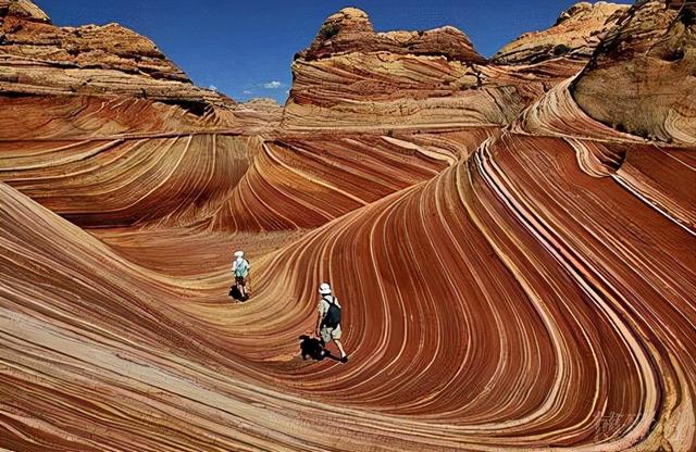 坐标美国，美国绿卡被宣告作废，重新排期避无可避
