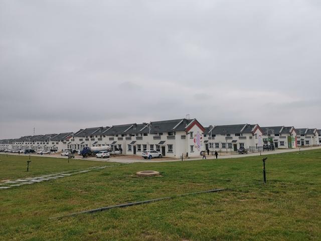 兰州新区：党建引领聚合力 移民搬迁谱新篇