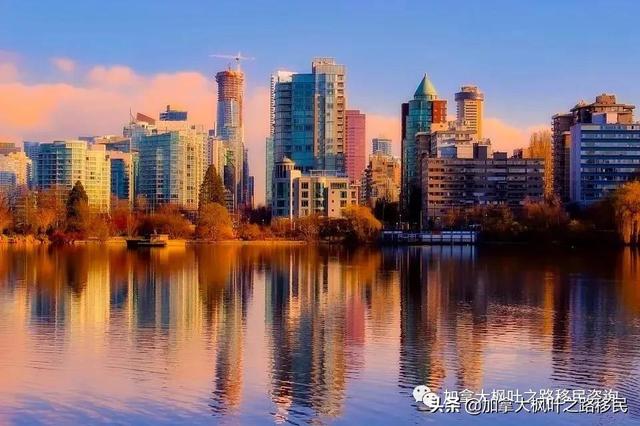 别再被骗了！自雇移民和SUV真没你想的那么简单