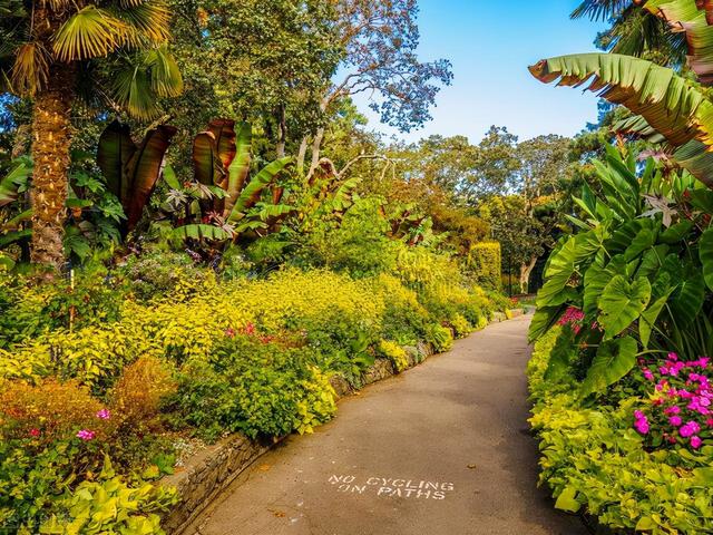 创业类移民的利与弊，为什么很多人不喜欢创业类移民？