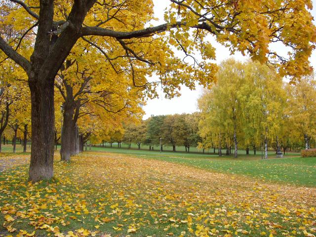 移民不移居为何成21世纪主流？